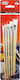 Meyco Plaque Paint Brush Set No10 / No2 / No4 / No6 / No8 5pcs