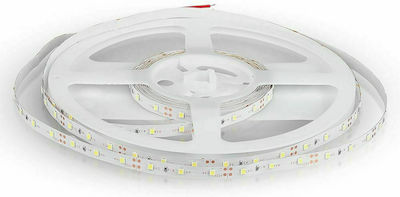 V-TAC Bandă LED Alimentare 12V cu Lumină Albastru Lungime 5m și 60 LED-uri pe Metru SMD3528