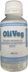 OliVeg Oily Conditioner 500ml