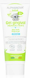 Alphanova Baby Gum Relief Product 20ml 1pcs
