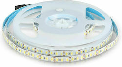 V-TAC Bandă LED Alimentare 12V cu Lumină Alb Rece Lungime 5m și 120 LED-uri pe Metru SMD5730