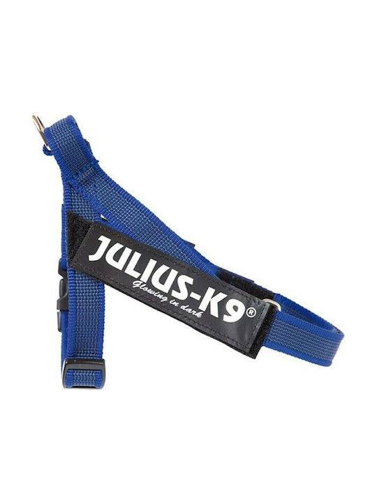 Julius K9 Belt Blue 63-81cm