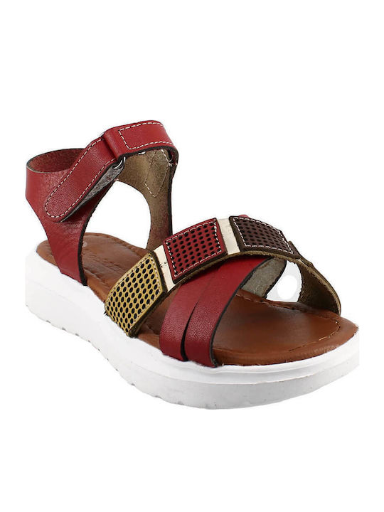 IQ Shoes IQ Shoes