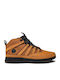 Timberland Euro Trekker Ανδρικά Ορειβατικά Μποτάκια Καφέ