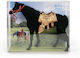 Avra Toys Miniaturspielzeug Pferd 27cm