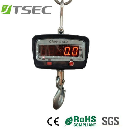 Professional Hanging Scale with Weighing Capacity of 1000kg and Division 1000gr