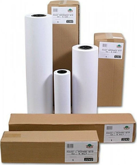 Typotrust Χαρτί Ρολό 914mm x 45.7m 80gr/m²