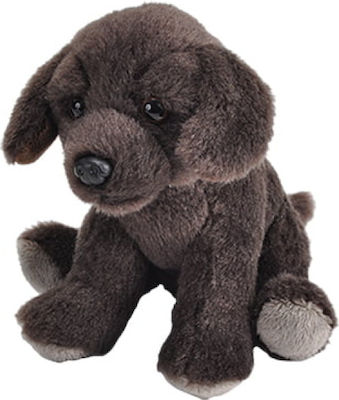 Wild Republic Plush Dog Labrador for 3+ Years 13 cm