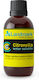 Landmark Citronella Accesorii Câine