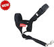 Pet Interest Schulung XSklein 30-37cm