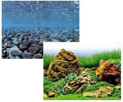 Amtra Wave Double Vision Aquarium Decoration Poster