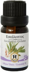 Herbstore Eucalyptus Αιθέριο Έλαιο Ευκάλυπτου 100ml