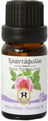 Herbstore Essential Oil Rose 500ml