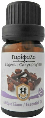 Herbstore Γαρίφαλο Αιθέριο Έλαιο 500ml