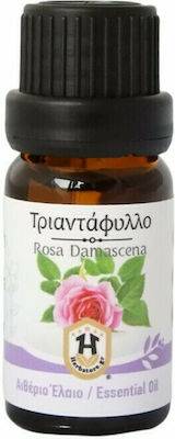 Herbstore Ätherisches Öl Rose 100ml