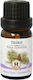 Herbstore Essential Oil Pine 50ml