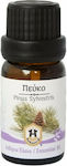 Herbstore Essential Oil Pine 100ml