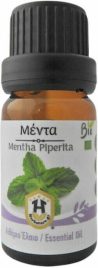 Herbstore Bio Ätherisches Öl Minze Essbar 50ml