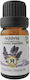 Herbstore Bio Ätherisches Öl Lavendel Essbar 10ml
