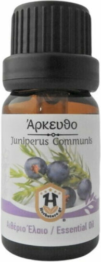 Herbstore Ätherisches Öl Wild Wacholder Zypresse Essenziell 50ml