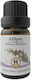 Herbstore Essential Oil Cedar Edible 50ml