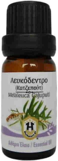 Herbstore Λευκόδεντρο Κατζεπούτ Αιθέριο Έλαιο Λευκόδεντρο Βρώσιμο 50ml