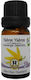 Herbstore Bio Ätherisches Öl Ylang-Ylang Essbar 50ml