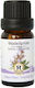 Herbstore Edible Sage Essential Oil 500ml