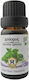 Herbstore Bio Ätherisches Öl Pfefferminz Essbar 50ml