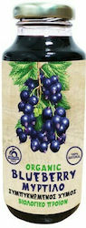 HealthTrade Концентриран Био Сок Blueberry Без ...