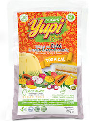 NoCarb Organic Product Mix for Zele Yupi Sugar Free with Flavor Tropical for Jelly & Pastry Cream Gluten Free 100gr