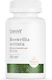 OstroVit Boswellia Serrata 1000mg 90 растителни капсули