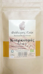 Viodoros Gaia Turmeric Organic in Powder 100gr