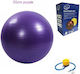 King Lion 05004HTF50PR Pilates Ball 55cm Purple