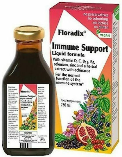 Salus Haus Floradix Immunsystem Unterstützung Besondere Nahrungsergänzungsmittel für die Stärkung des Immunsystems 250ml