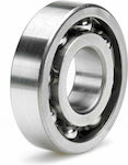 Motorcycle Bearings Single Ball Bearing ZKL