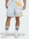 Sportliche Herrenshorts Sky Tint / Acid Orange
