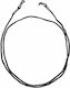Glasses Cord Black
