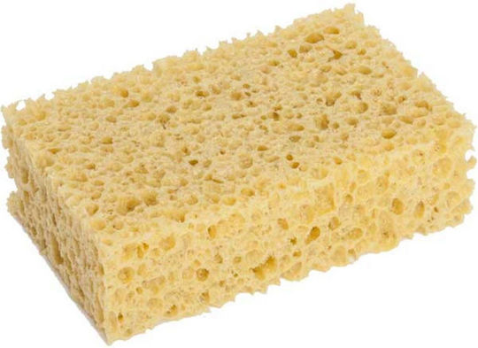 Carlinea Sponges Washing Car 12x21x6cm