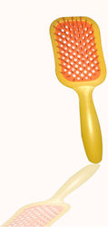 Beauty Spring Hair Brush