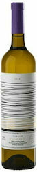 Vinuri Monemvasia Tsimpidi Alb Șampon Uscat 750ml Vinuri Monemvasia Tsimpidi Alb Șampon Uscat 750ml