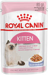 Royal Canin Kitten Wet Food for Kittens In Pouch with Poultry In Jelly 6pcs 85gr