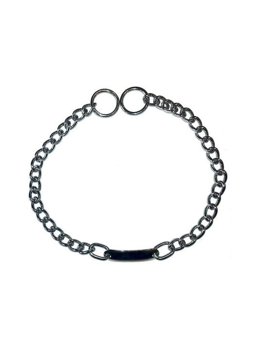 Dog Choker Chain in Silver color Identity 2.5mm x 37cm