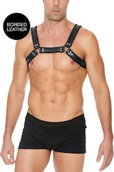 Shots Ouch! Buckle Bulldog Harness Schwarz