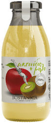 Bostanica Băutură din Fructe Suc Măr și kiwi Fără zahăr 250ml 1buc 100% Bostanica Băutură din Fructe Suc Măr și kiwi Fără zahăr 250ml 1buc 100%