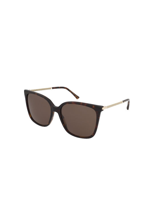 Jimmy Choo Women's Sunglasses with Brown Tartar...