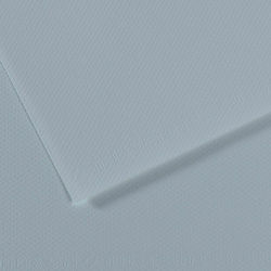 Canson Carton Mi-Teintes A4 Gri