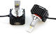 Heleco Heleco Autolampe D3R / D3S LED 6000K Kaltes Weiß 70W