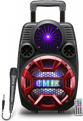 Boxă Karaoke Cu Microfon Cu Fir Și Efecte De Il...