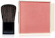 Estee Lauder Ρουζ Refill Pure Color Envy Sculpt...